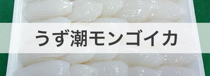 うず潮モンゴイカ